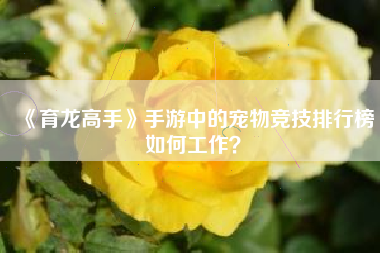 《育龙高手》手游中的宠物竞技排行榜如何工作？  第1张