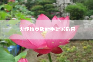 火线精英版新手玩家指南  第1张