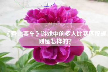 《登山赛车》游戏中的多人比赛匹配规则是怎样的？  第1张