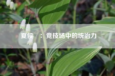 夏侯惇：竞技场中的统治力  第1张