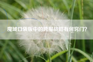 魔域口袋版中的跨服战略有何窍门？  第1张