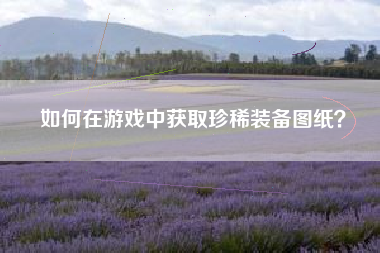 如何在游戏中获取珍稀装备图纸？  第1张