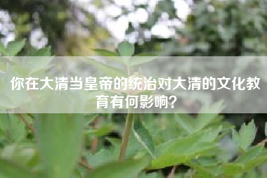 你在大清当皇帝的统治对大清的文化教育有何影响？  第1张