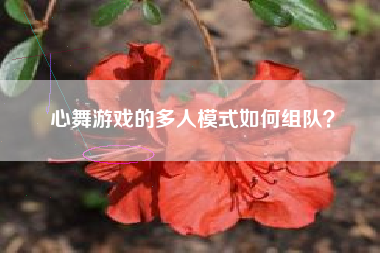心舞游戏的多人模式如何组队？  第1张