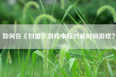 如何在《扫雷》游戏中应对长时间游戏？  第1张