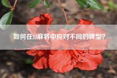 如何在JJ麻将中应对不同的牌型？  第1张