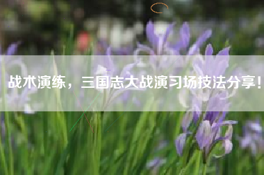 战术演练，三国志大战演习场技法分享！  第1张