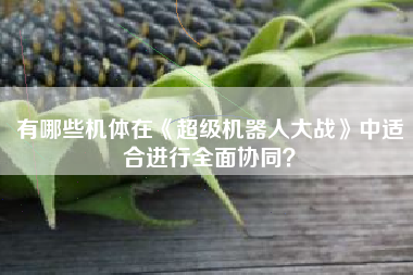 有哪些机体在《超级机器人大战》中适合进行全面协同？  第1张