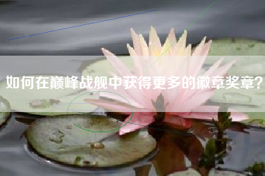 如何在巅峰战舰中获得更多的徽章奖章？  第1张