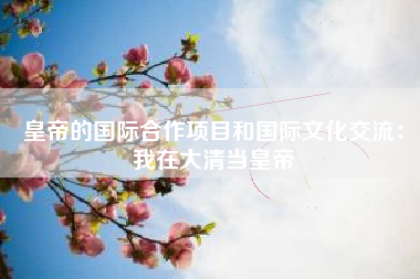 皇帝的国际合作项目和国际文化交流：我在大清当皇帝  第1张