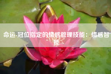 命运-冠位指定的情感管理技能：情感智能  第1张