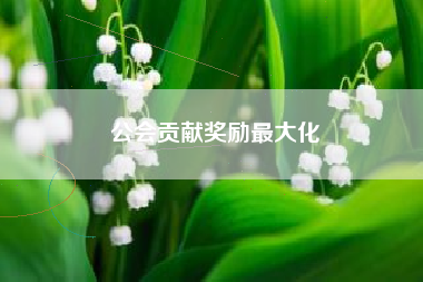 公会贡献奖励最大化  第1张