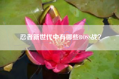 忍者新世代中有哪些BOSS战？  第1张