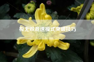 极无双竞速模式突破技巧  第1张