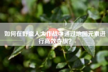 如何在野蛮人大作战中通过地图元素进行高效夺旗？  第1张