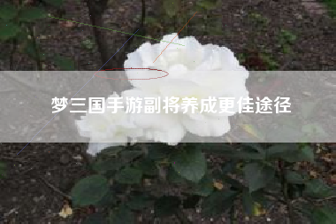 梦三国手游副将养成更佳途径  第1张