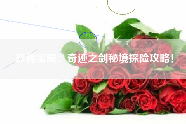 珍稀宝藏：奇迹之剑秘境探险攻略！  第1张