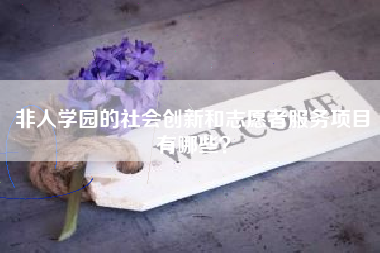 非人学园的社会创新和志愿者服务项目有哪些？  第1张