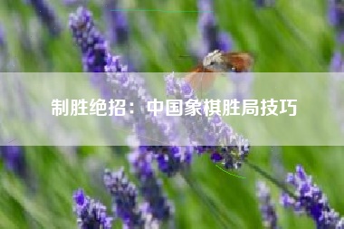 制胜绝招：中国象棋胜局技巧  第1张