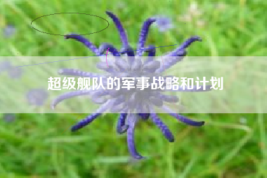 超级舰队的军事战略和计划  第1张