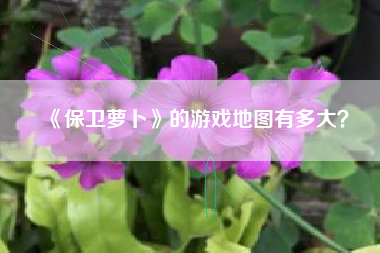 《保卫萝卜》的游戏地图有多大？  第1张