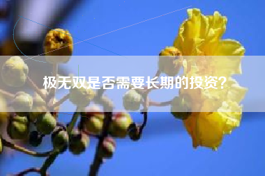 极无双是否需要长期的投资？  第1张