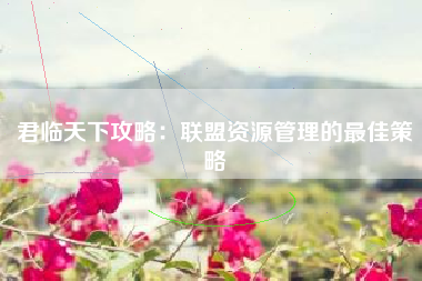 君临天下攻略：联盟资源管理的最佳策略  第1张