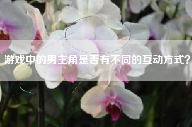 游戏中的男主角是否有不同的互动方式？  第1张