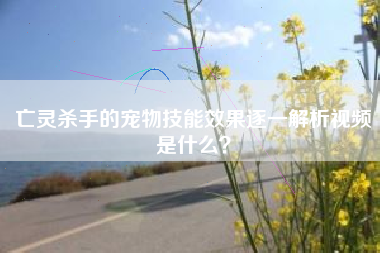 亡灵杀手的宠物技能效果逐一解析视频是什么？  第1张