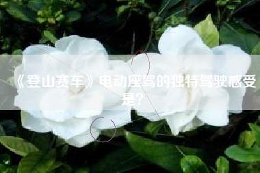 《登山赛车》电动座驾的独特驾驶感受是？  第1张