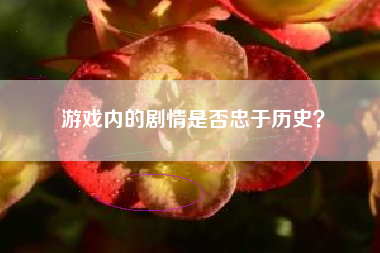 游戏内的剧情是否忠于历史？  第1张