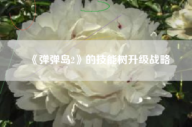《弹弹岛2》的技能树升级战略  第1张