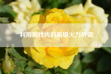 利用游戏内的高级火力协调  第1张