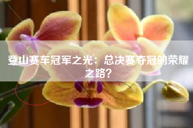 登山赛车冠军之光：总决赛夺冠的荣耀之路？  第1张