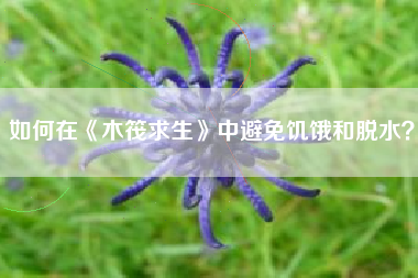 如何在《木筏求生》中避免饥饿和脱水？  第1张