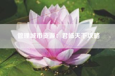 管理城市资源：君临天下攻略  第1张