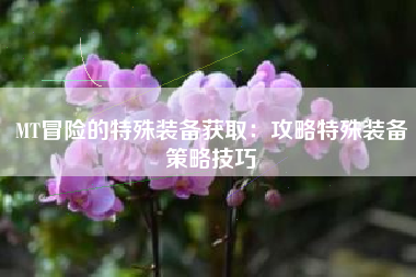 MT冒险的特殊装备获取：攻略特殊装备策略技巧  第1张