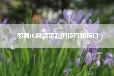 恋舞OL服装定制的技巧和窍门  第1张