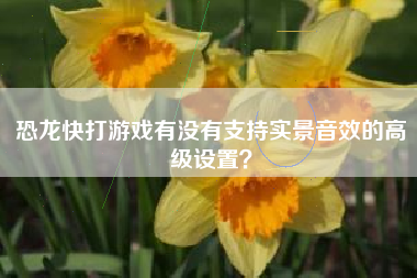 恐龙快打游戏有没有支持实景音效的高级设置？  第1张