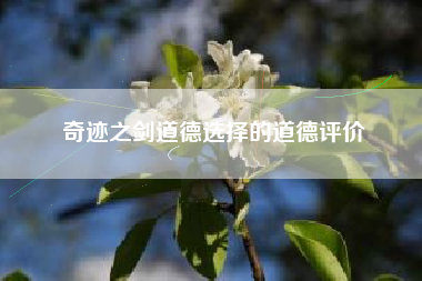 奇迹之剑道德选择的道德评价  第1张