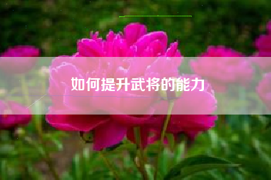 如何提升武将的能力  第1张
