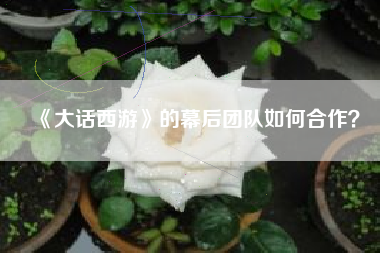 《大话西游》的幕后团队如何合作？  第1张