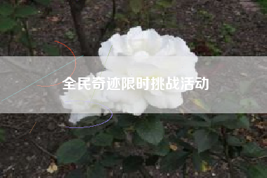 全民奇迹限时挑战活动  第1张