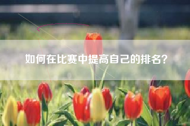 如何在比赛中提高自己的排名？  第1张