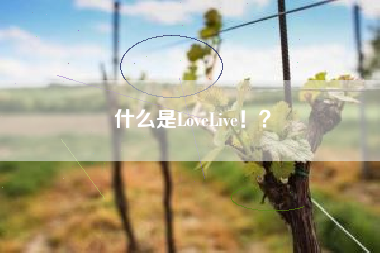 什么是LoveLive！？  第1张