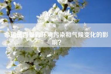 命运是否受到环境污染和气候变化的影响？  第1张