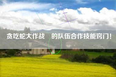 贪吃蛇大作战®的队伍合作技能窍门！  第1张
