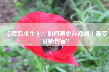 《荒岛求生》：如何避免在海滩上遭受日晒伤害？  第1张