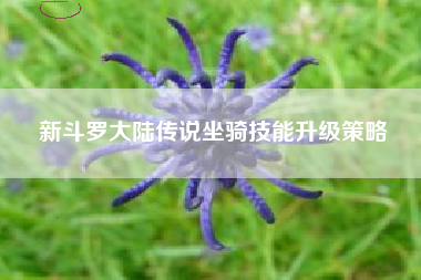 新斗罗大陆传说坐骑技能升级策略  第1张