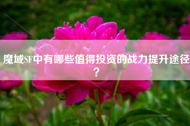 魔域SF中有哪些值得投资的战力提升途径？  第1张